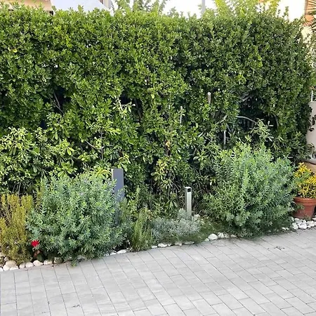Versilia Tonfano Villetta Holiday home